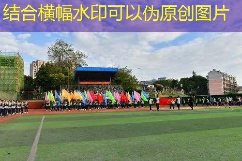 ayx·爱游戏：室内健身器材抖臀机