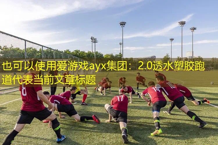 2.0透水塑胶跑道 2.0透水塑胶跑道