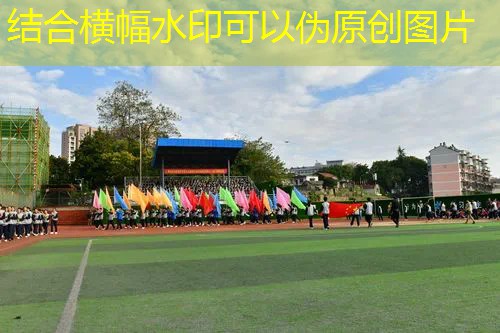 爱游戏ayx集团：单人网球拍定价标准图