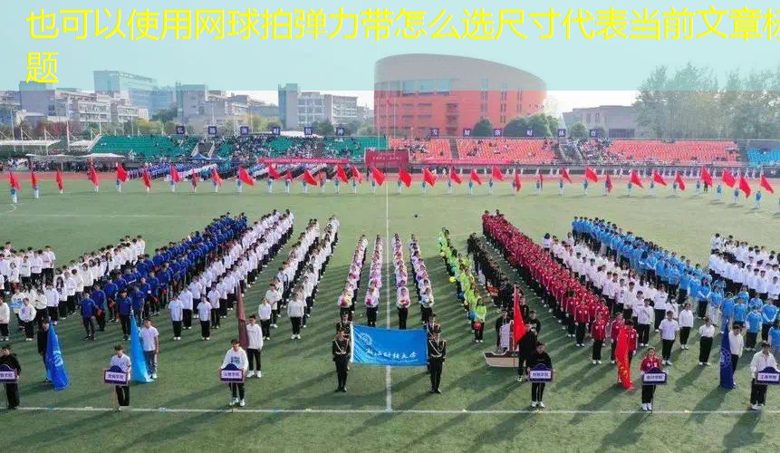 网球拍弹力带怎么选尺寸