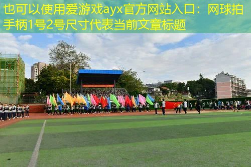 爱游戏ayx官方网站入口：网球拍手柄1号2号尺寸