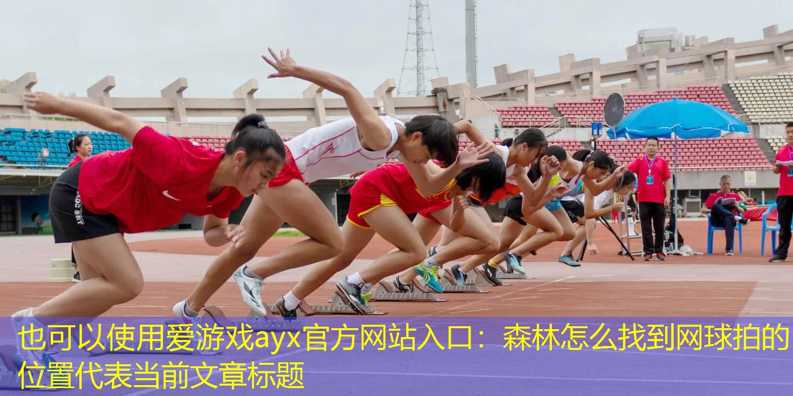 爱游戏ayx官方网站入口：森林怎么找到网球拍的位置