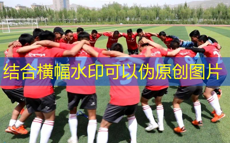 爱游戏中国官方网站：网球拍软硬结合怎么用的