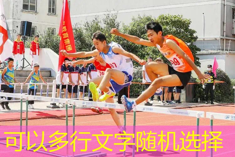 爱游戏ayx官方网站入口：第一只网球拍的翻译