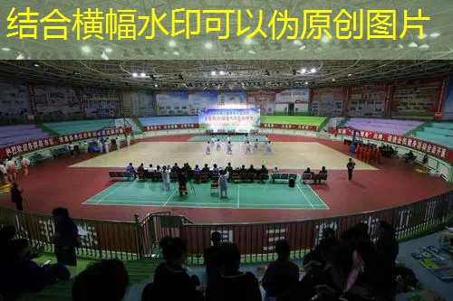 爱游戏ayx官方全站：百宝力网球拍170431