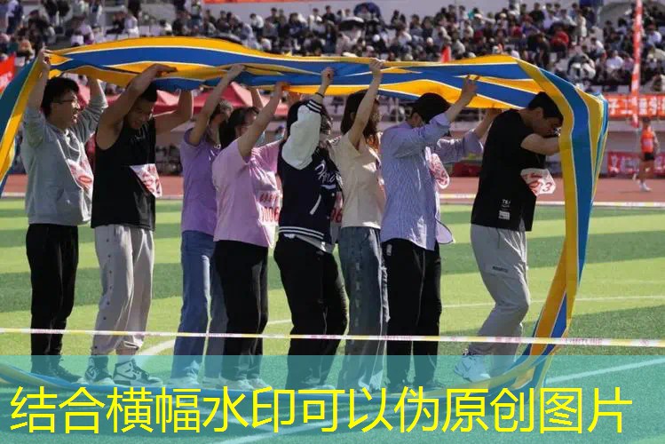 ayx爱游戏公司：他们有网球拍吗翻译句子