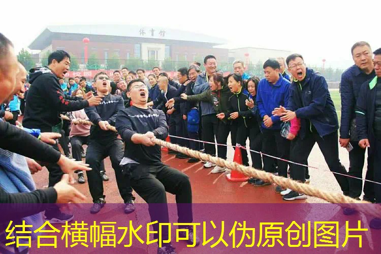 爱游戏ayx官方全站：碳合金网球拍打掉漆修补