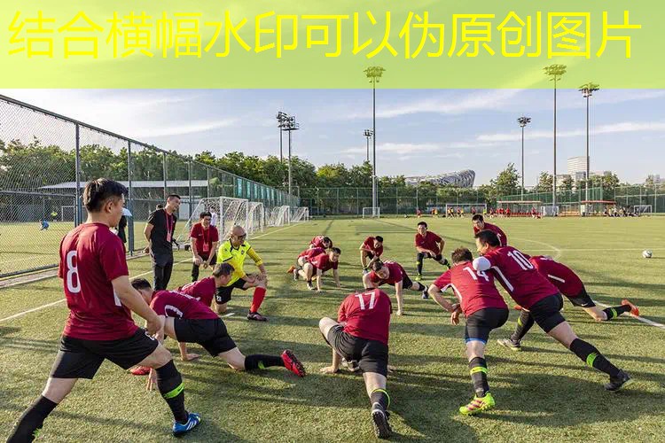 爱游戏ayx官方全站：扣球怎么贴网球拍标志图