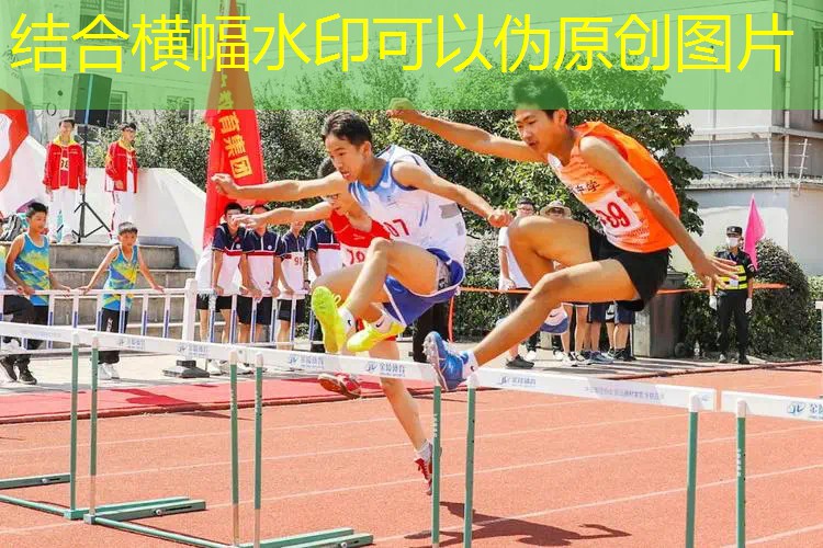爱游戏ayx官方全站：网球拍250克3号柄