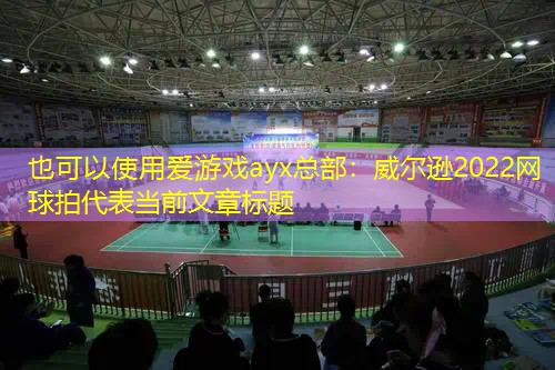 爱游戏ayx总部：威尔逊2022网球拍
