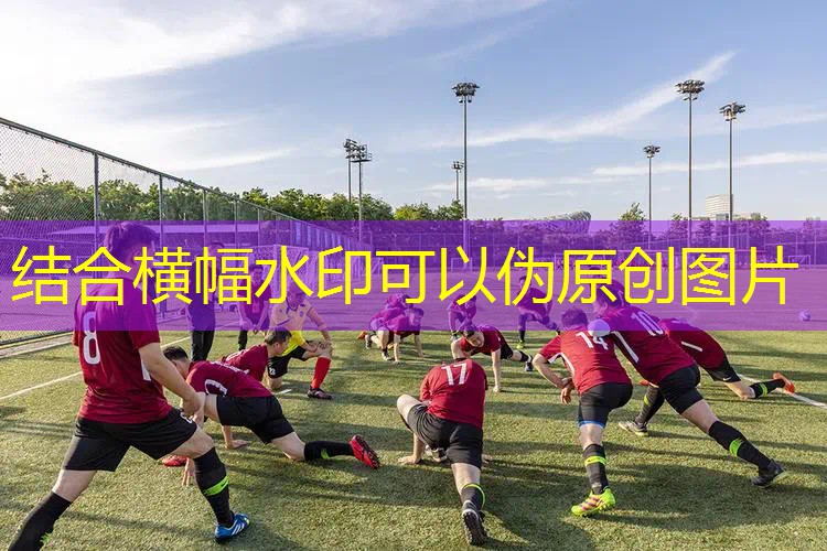 爱游戏ayx官方网站入口：测网球拍磅数的软件