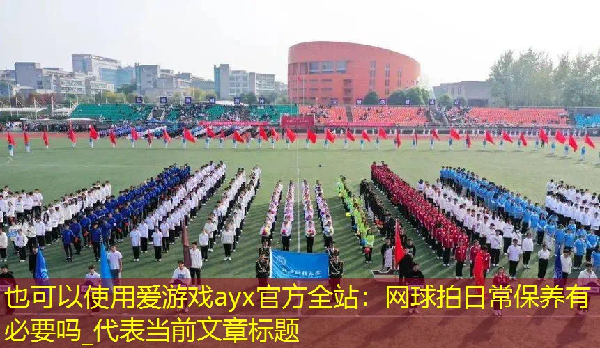 爱游戏ayx官方全站：网球拍日常保养有必要吗_