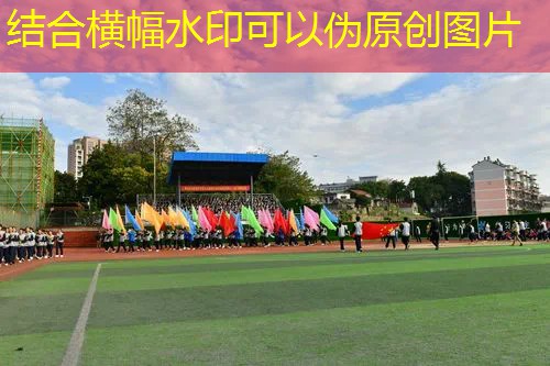 爱游戏ayx官方网站入口：网球拍仿造和正品的区别