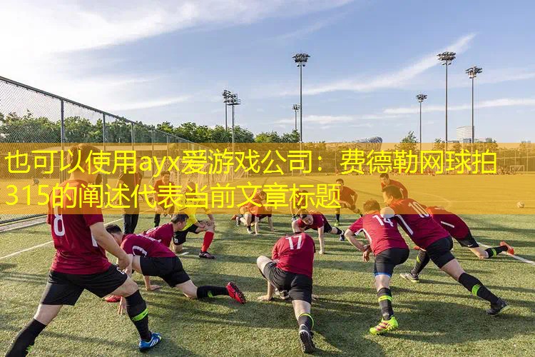 ayx爱游戏公司：费德勒网球拍315的阐述
