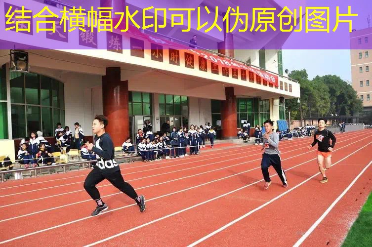 网球拍面用什么颜料染色