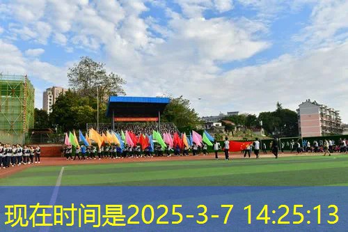 单人网球拍定价标准图 单人网球拍定价标准图