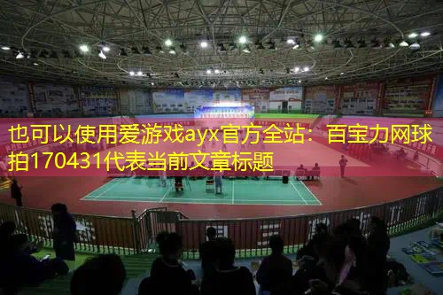 百宝力网球拍170431 百宝力网球拍170431