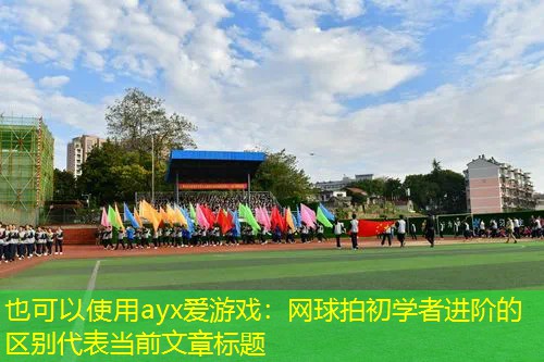 网球拍初学者进阶的区别 网球拍初学者进阶的区别