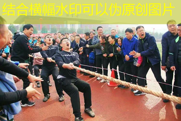 怎么辨别好的网球拍子 怎么辨别好的网球拍子