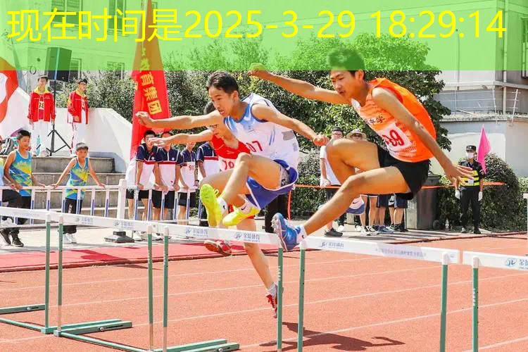 网球拍250克3号柄 网球拍250克3号柄