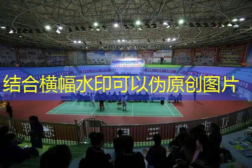 威尔逊2022网球拍 威尔逊2022网球拍