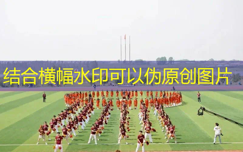 幼儿园大班器械操网球拍 幼儿园大班器械操网球拍