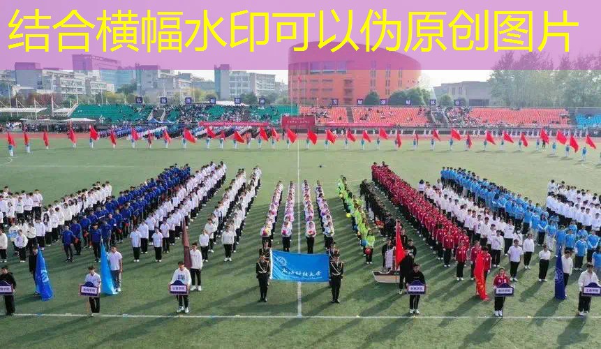 李佳琦双十一推的网球拍 李佳琦双十一推的网球拍