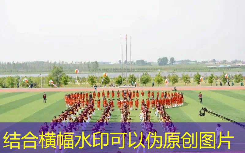 邓禄普70网球拍 邓禄普70网球拍